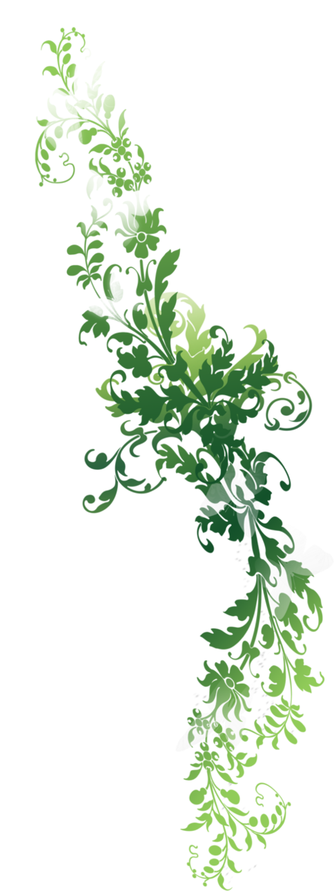 Flower Vine Png Tumblr - Vector (592x1348), Png Download