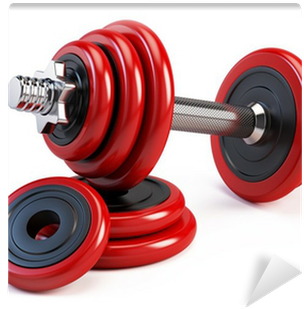City Gyms: When Passion And Jealousy Collide ... Anything (400x400), Png Download