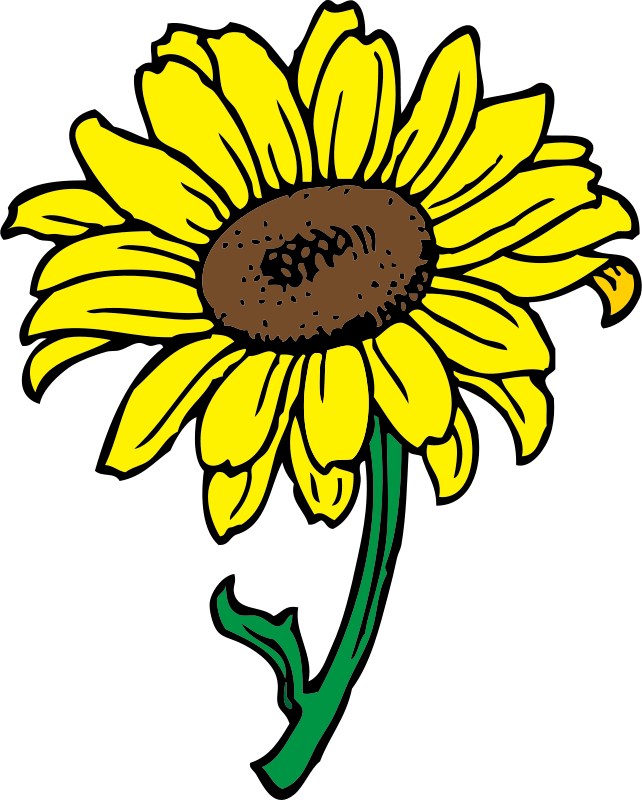Sunflower Svg Clip Arts 480 X 599 Px (480x599), Png Download