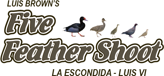 Five Feathers - Duck (646x304), Png Download