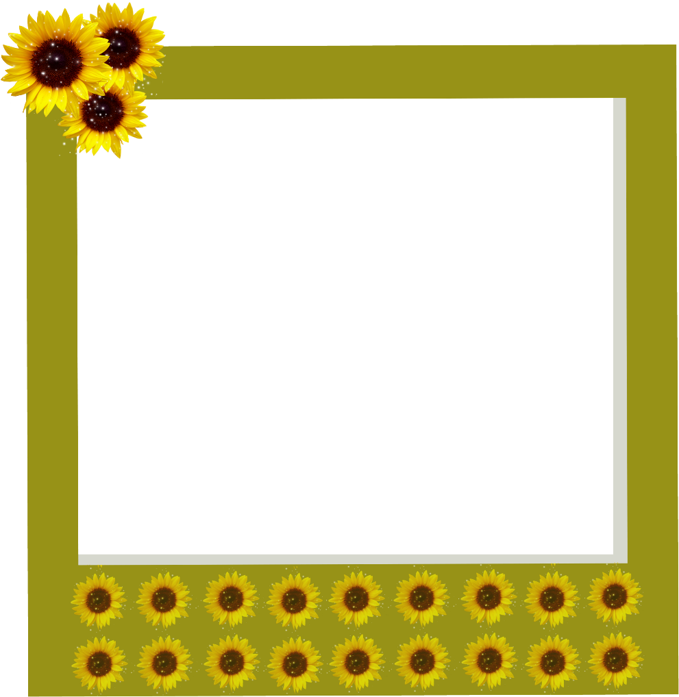 Polaroid Clipart Aesthetic - Tumblr (1024x1024), Png Download