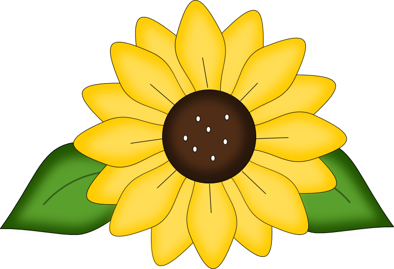 Sunflower Svg Free (809x553), Png Download