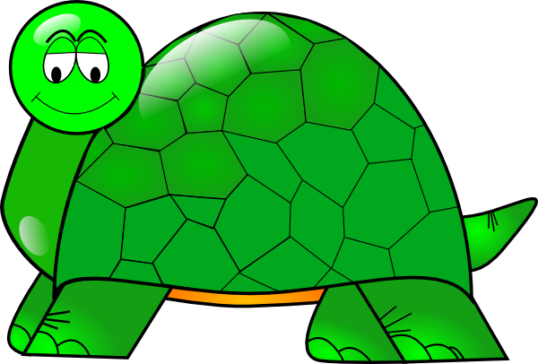 Turtle Png (600x406), Png Download