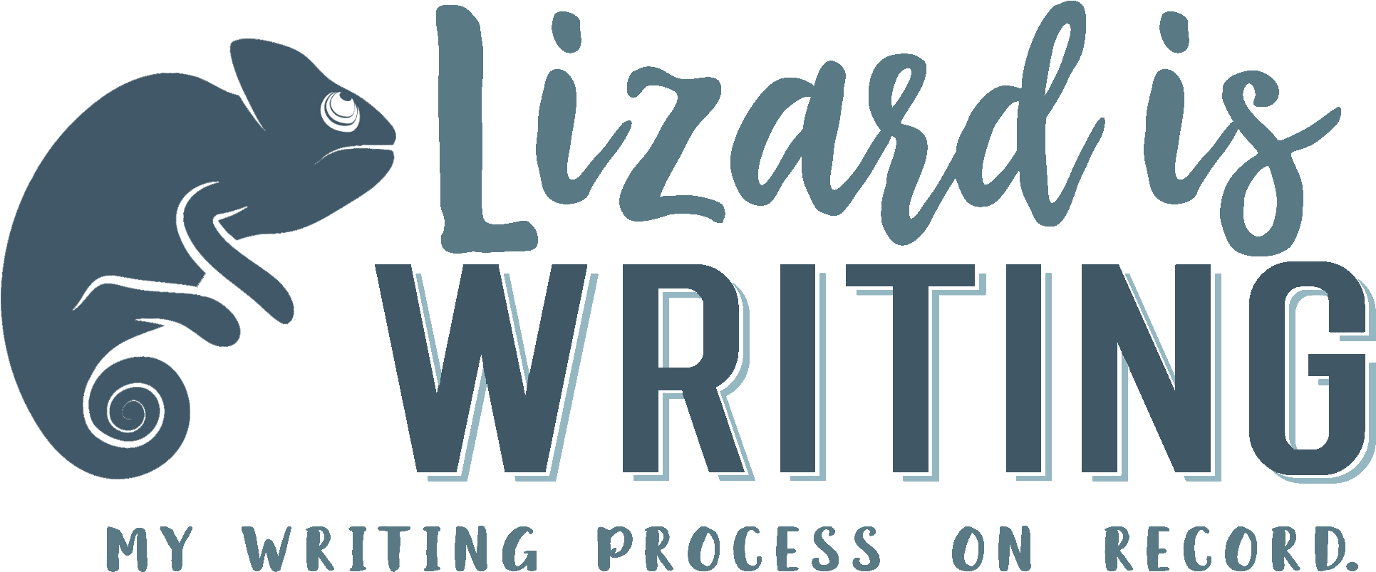 Lizard Is Writing Banner With Slogan - Rat (4000x1280), Png Download