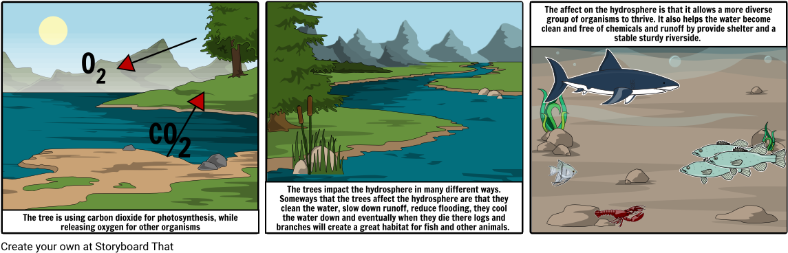 Tree Roots By The Water > Hydrosphere - Water (1164x385), Png Download
