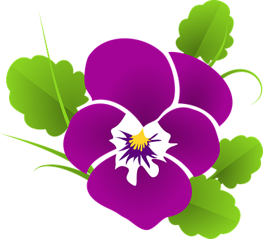 Pansy Violet Viola Violaceae Blossom Bloom - Violet Clip Art (374x340), Png Download