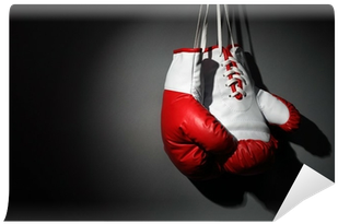 Png - Boxing Gloves Shower Curtain (400x400), Png Download