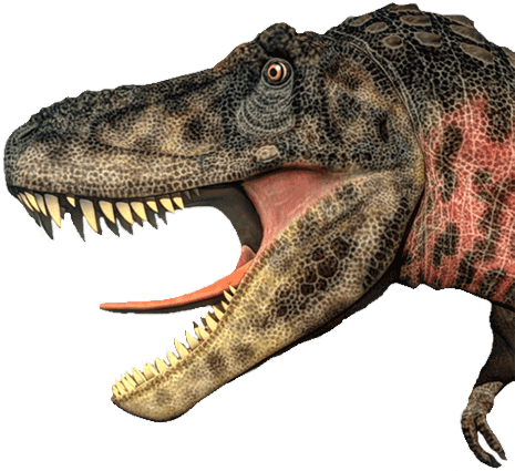 Dinosaur Png Image - Bright Day Calendars 2018 Dinosaurs Wall Calendar (500x460), Png Download