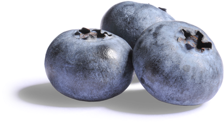 Blueberries Png Clipart - Blueberries With No Background (500x332), Png Download