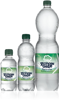 Bubbly Spring Water - Plastic Bottle (450x350), Png Download