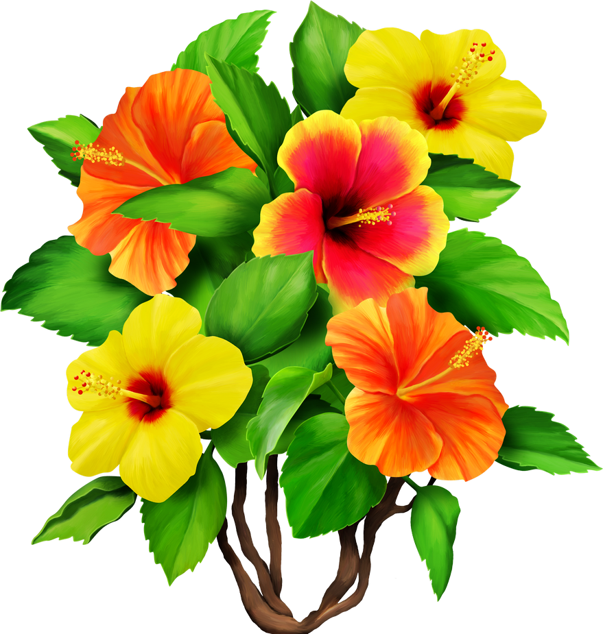 Hawaiian Aloha Tropical - Clipart Bouquet Hibiscus Flowers (879x925), Png Download