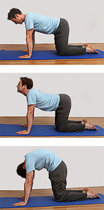 Cat Stretch - Marjariasana Cat Pose (335x676), Png Download