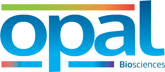 Opal Logo (577x268), Png Download