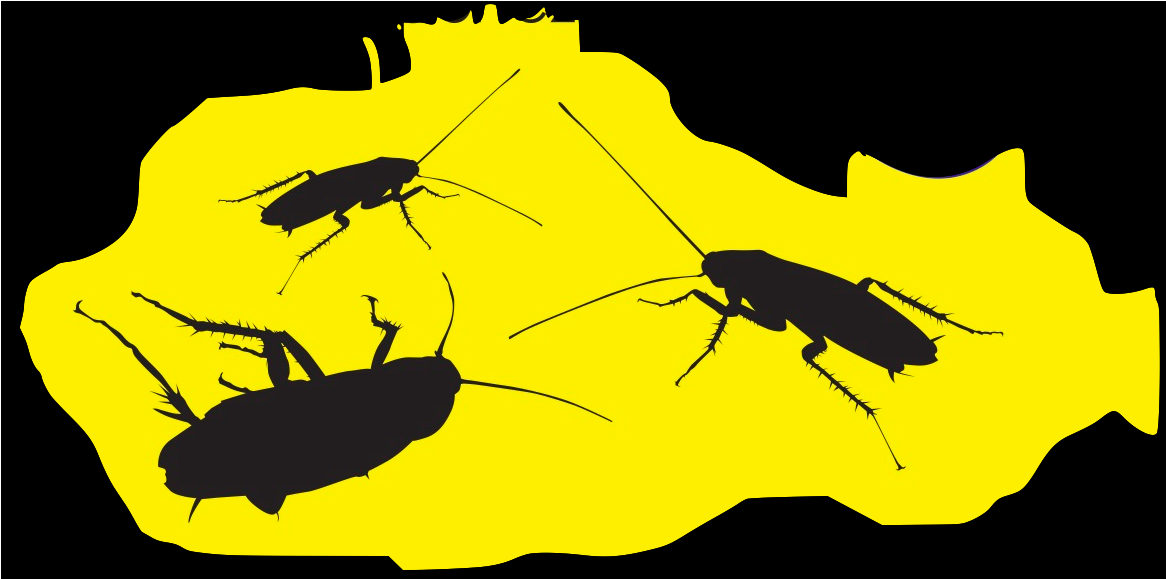 “las Cucarachas Son Insectos Nocturnos Y Se Esconden - Panic (1280x800), Png Download