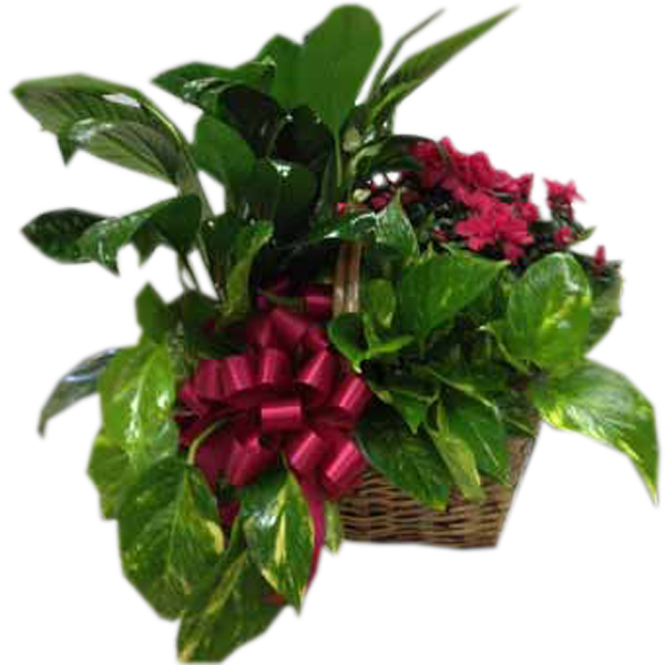 Azalea In The Garden - Artificial Flower (600x600), Png Download