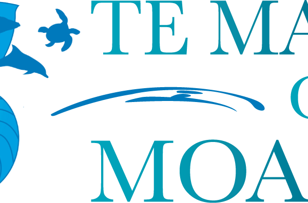 Logo Te Mana - Te Mana O Te Moana (600x396), Png Download