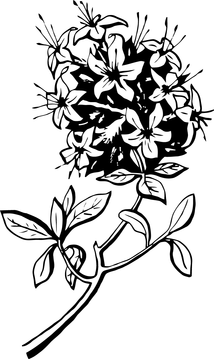 Clip Art (750x1255), Png Download