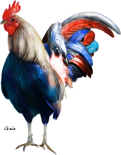 Tube Bleu Blanc Rouge Png - Coq Bleu Blanc Rouge (392x500), Png Download