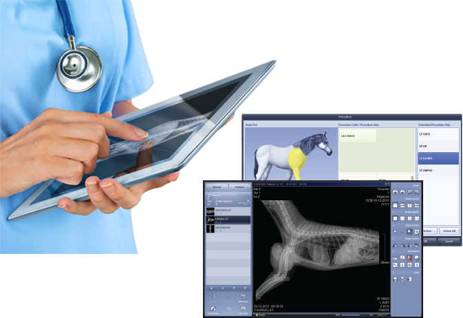 Healthcare And Technology Today: A Guide For Providers (673x462), Png Download