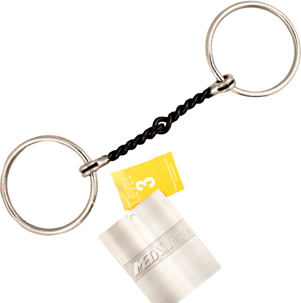 5in Ss Sweet Iron Twist Snaffl - Keychain (1001x1001), Png Download
