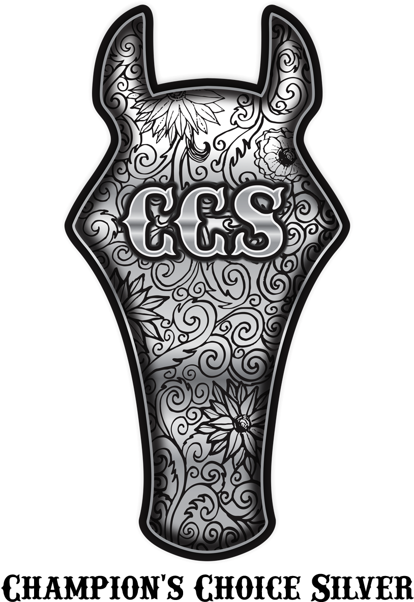 Coolhorse Champion Silver - Hard To Beat A Person Wall Plaque Art (10 X 15), Clear, (900x1200), Png Download