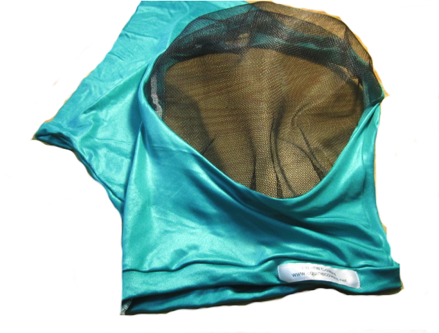 Image Of Bug Eye Fly Masks - Swimsuit Top (640x480), Png Download