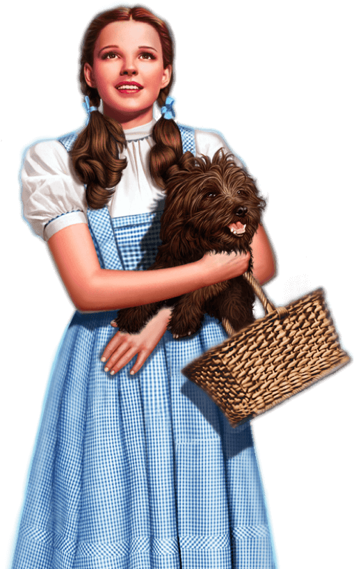 Download Case Study - Wizard Of Oz Dorothy Movie (555x831), Png Download