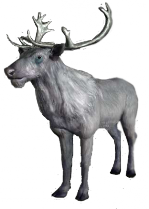 Whitestag - White Stag (300x421), Png Download