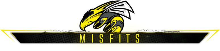 Misfits - Hornet Mascot (800x207), Png Download