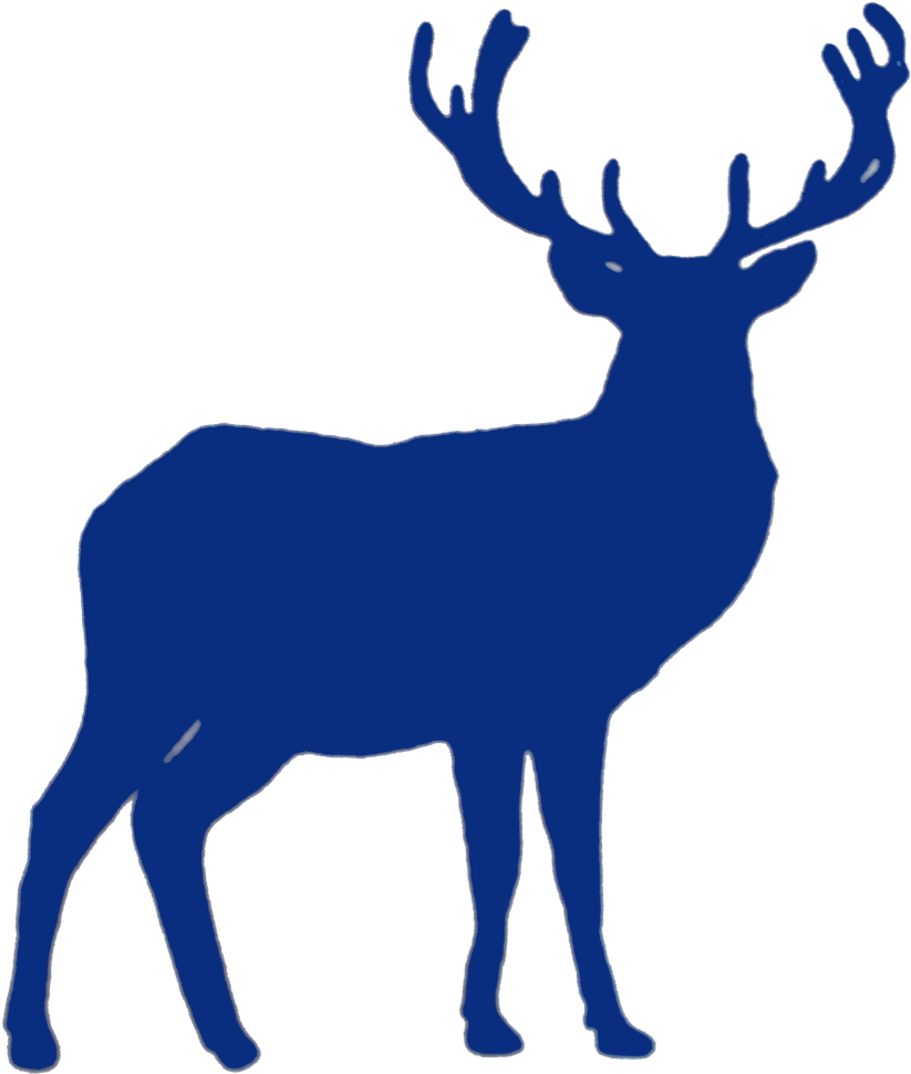 Forest Life - Reindeer Coloring For Adult (865x992), Png Download