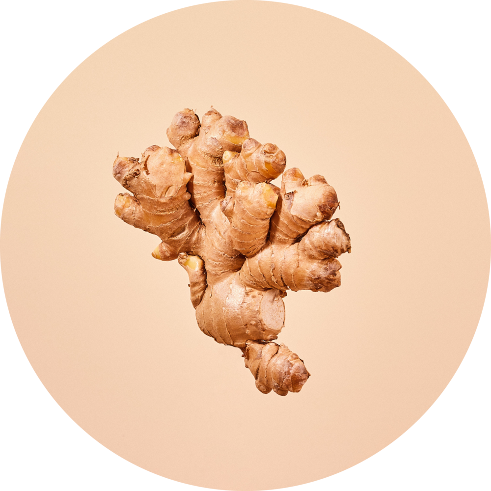Misfit Ginger Still Circle@2x - Misfit (1000x1000), Png Download