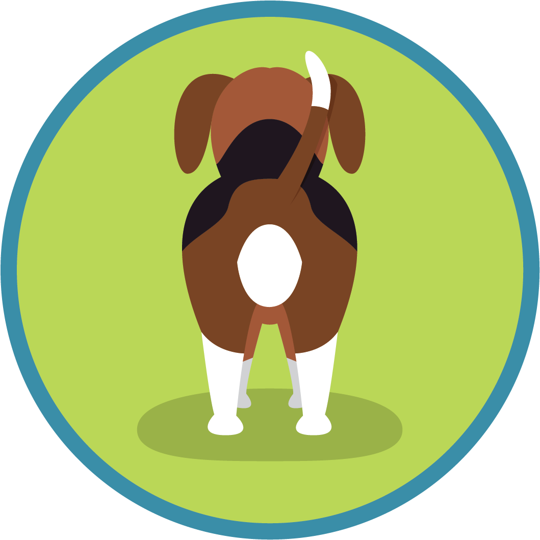 Fireworks And Dogs Dealing With Anxiety This Bonfire - University Of North Alabama (1030x1027), Png Download