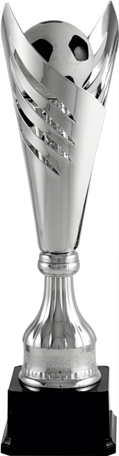 Trofeo Copa Corte Pelotas Deporte - Drawing (457x652), Png Download