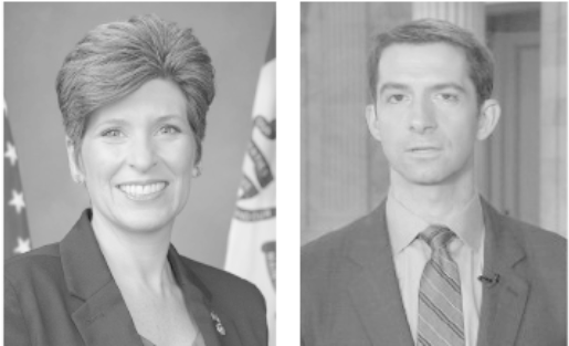 Support For Right To Work Act Keeps Rising - Joni Ernst Sexy (580x326), Png Download