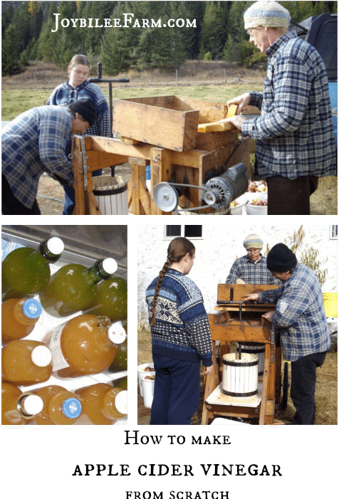 How To Make Apple Cider Vinegar - Apple Cider Vinegar (500x714), Png Download