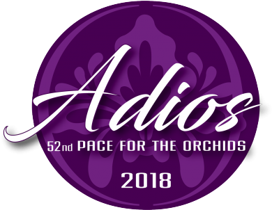 52 2018 Adios Logo Reverse - 2017 Adios (400x301), Png Download