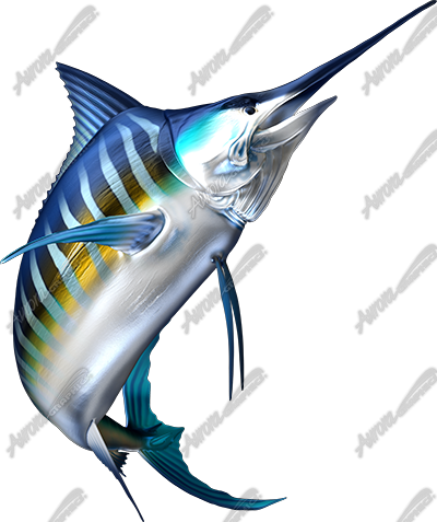 Striped Marlin - Blue Marlin Fish Png (400x477), Png Download