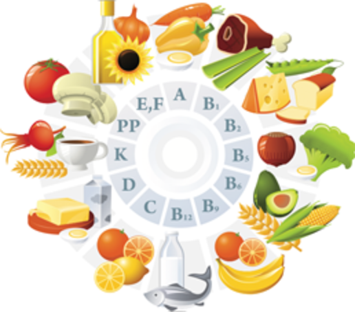 Vitamin Wheel200 - Vitamins, Their Role In Human Life (516x454), Png Download