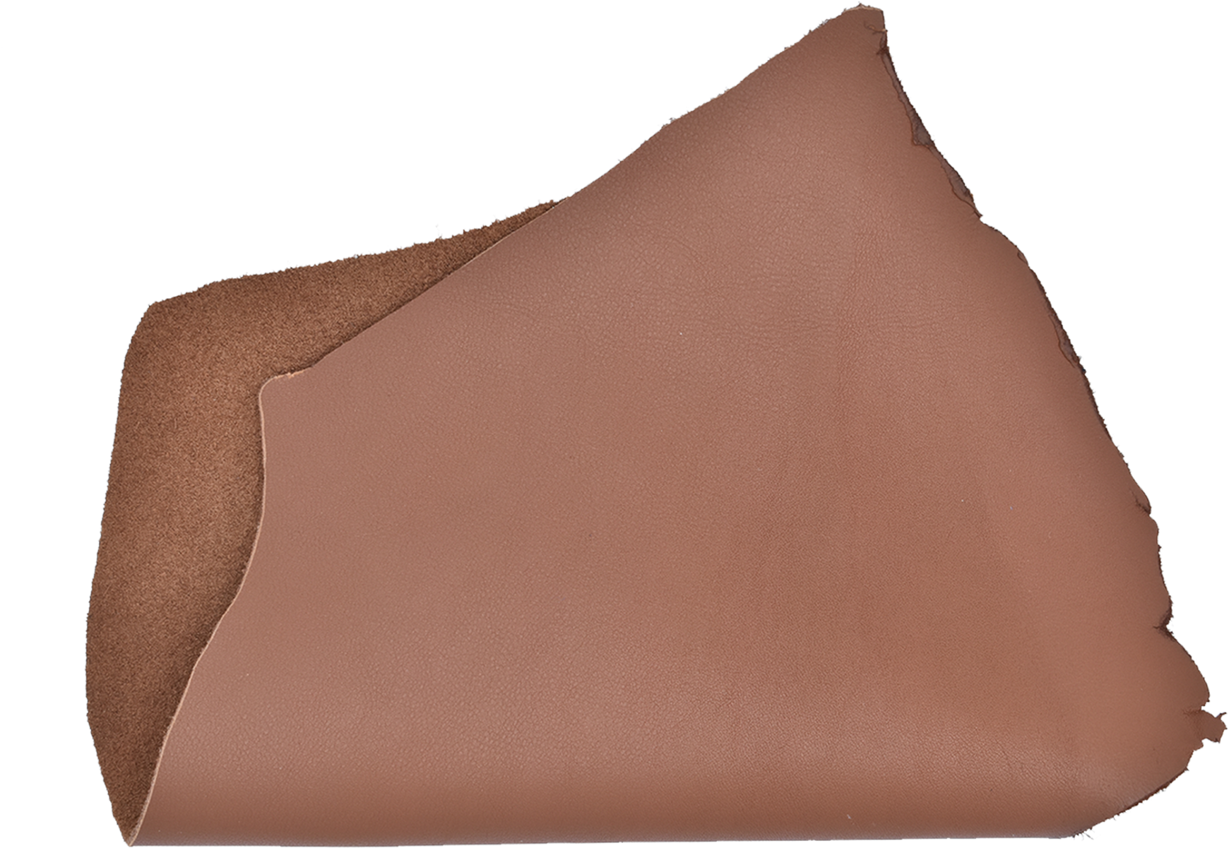 Nappa - Cushion (1920x1920), Png Download