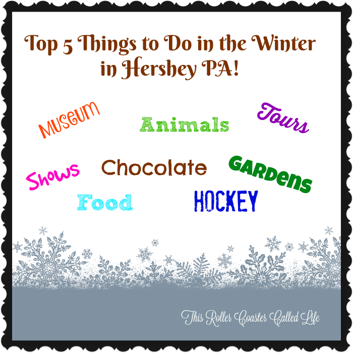 Top 5 Things To Do In The Winter In Hershey Pa - Let It Snow Razzle Red Tote Bag, Adult Unisex (700x700), Png Download