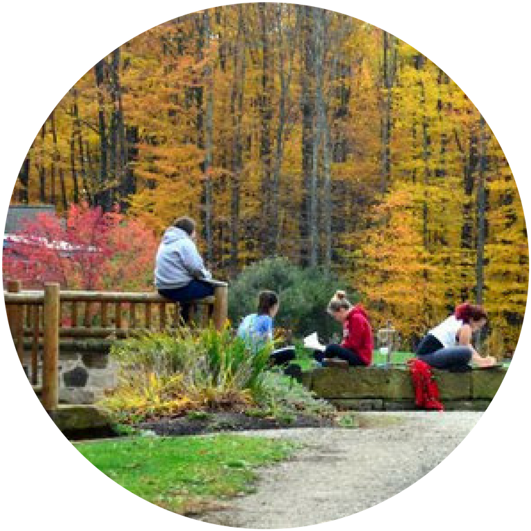 Hershey Montessori Huntsburg Campus - Scenery (800x800), Png Download