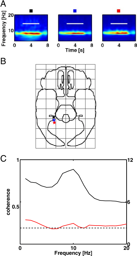 Theta Coherence Shows Local Variability Between Depth - Diagram (638x1041), Png Download