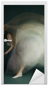 Ballet Dancer Woman In Motion Blur, Ballerina Door - Stallion (400x400), Png Download