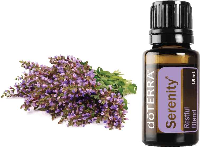 Description - Doterra Serenity Restful Blend Essential Oil 15ml (1008x1041), Png Download