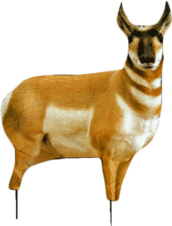 Dsc - Montana Decoy Antelope Buck And Doe Combo Decoy Pack (460x465), Png Download