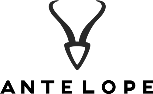 Logo Proposal - Antelope Logo (626x384), Png Download