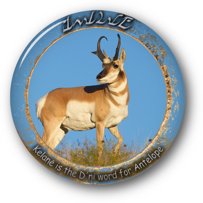 Archive 19 Nov 2016 - Pronghorn Antelope (696x697), Png Download