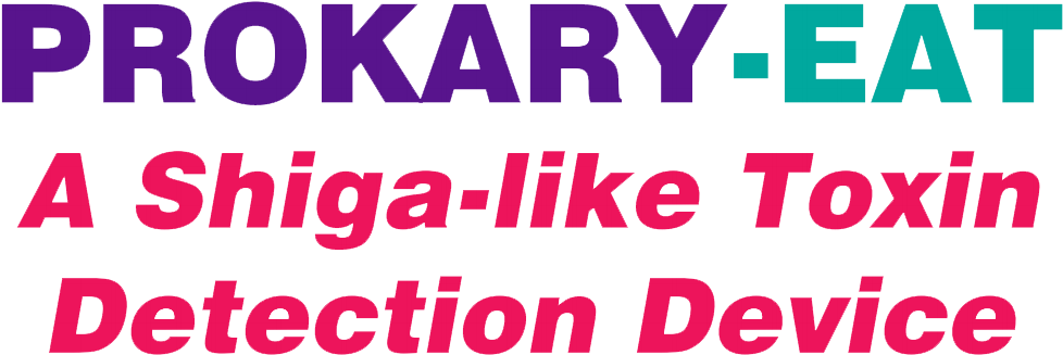 Vacation (1074x372), Png Download