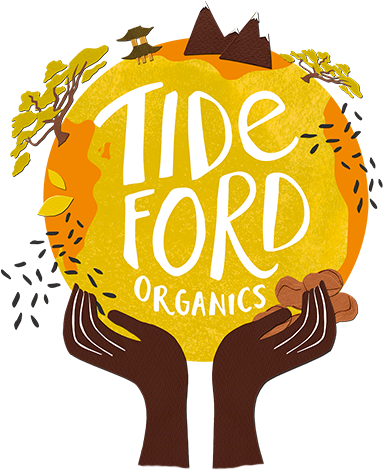 Haccho Miso, Ginger Lime Marinated Tofu With Broccoli - Tideford Organics Logo (500x500), Png Download