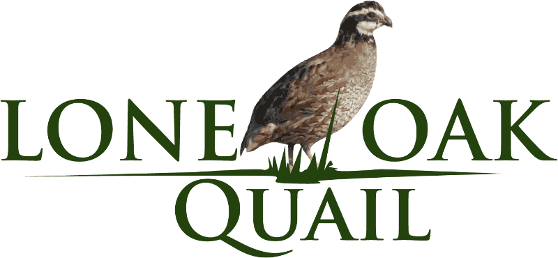 Lone Oak Quail - Benchmark Space Systems (800x370), Png Download